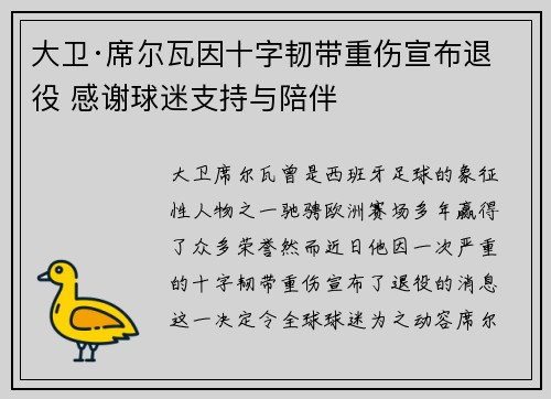 大卫·席尔瓦因十字韧带重伤宣布退役 感谢球迷支持与陪伴