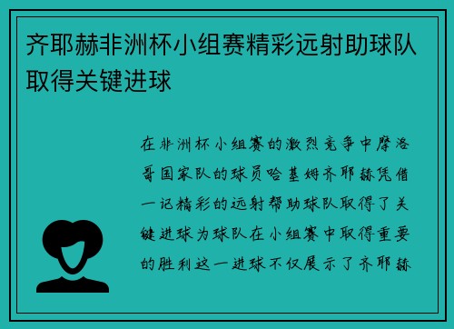 齐耶赫非洲杯小组赛精彩远射助球队取得关键进球